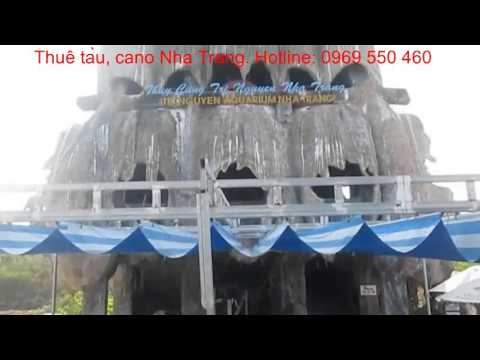 Hồ cá Trí Nguyên Nha Trang