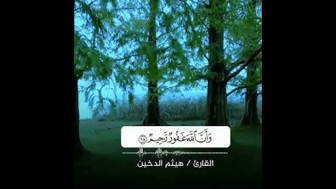 تلاوة خاشعة بصوت القارئ#هيثم_الدخين #سورة_المائدة  مقاطع دينية قصيرة❤🍃
