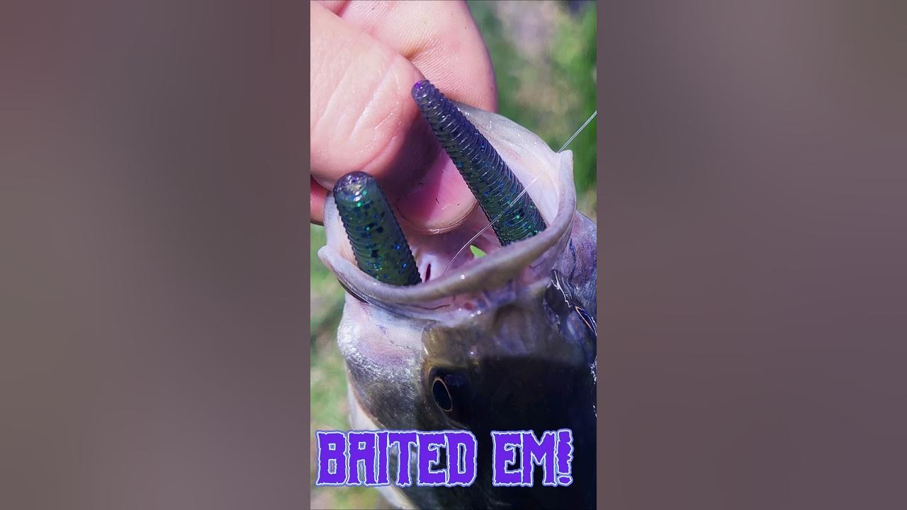 How to Catch a Fish WITHOUT a Hook? bassfishing YouTube