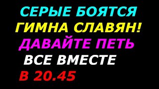 Серые боятся Гимна Славян! Давайте петь все вместе в 20 45