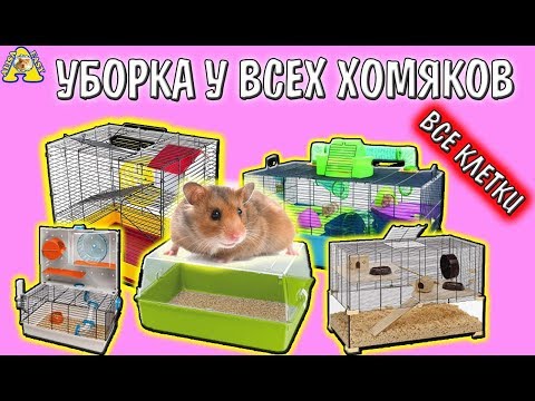 ВСЕ КЛЕТКИ МОИХ ХОМЯКОВ / УБОРКА у ВСЕХ ХОМЯКОВ / Cleaning hamster's cages / Алиса Изи