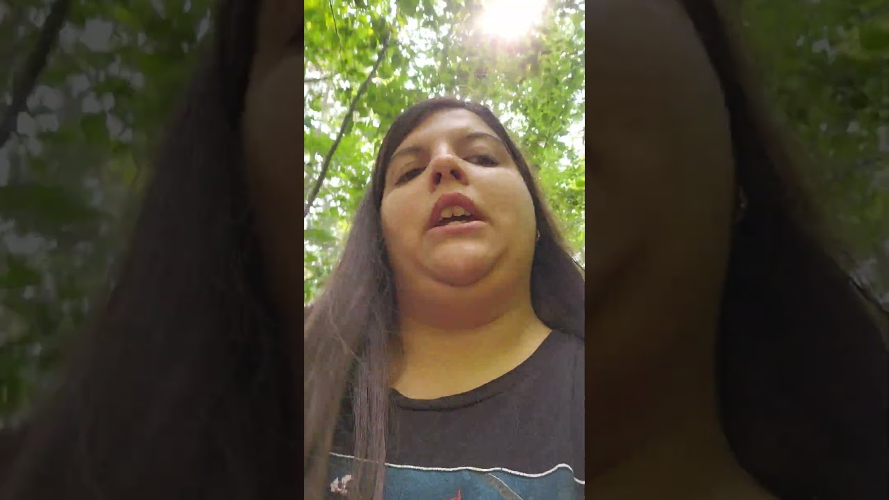 catching Dragonflies