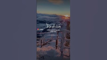 تلاوه عطره بصوت الشيخ ماهر المعيقلي