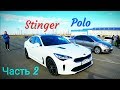 Kia STINGER и Škoda OCTAVIA и VW JETTA наказывают TURBO POLO