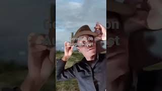 Germany be like in 1939 #youtubeshorts