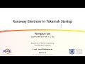 Runaway Electrons in Tokamak Startup