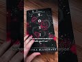 I dub this genre *unhinged romance* Signed gold foil copies at 🔗 #darkromance #darkromancebooks