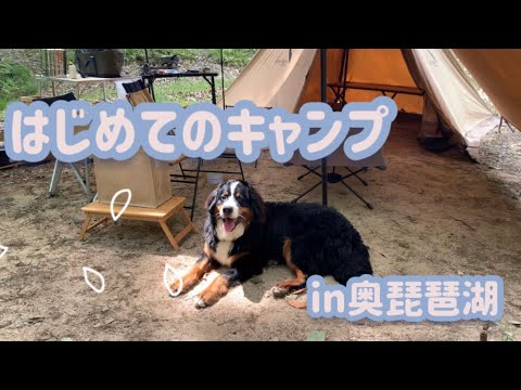 バーニーズマウンテンドッグとキャンプ