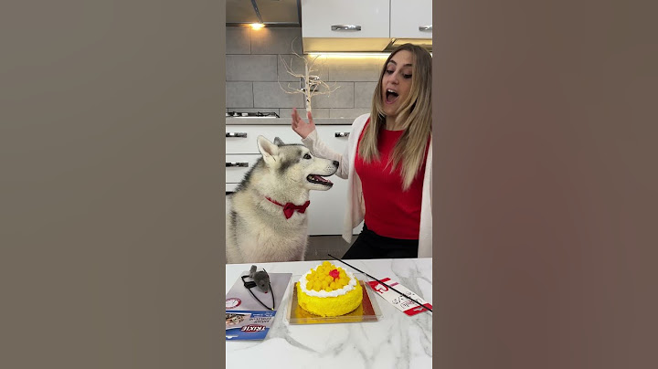 Faccio una SORPRESA alla mia PADRONCINA!😱🐶🥳 #dog #dogs #cane #cani #surprise #cat