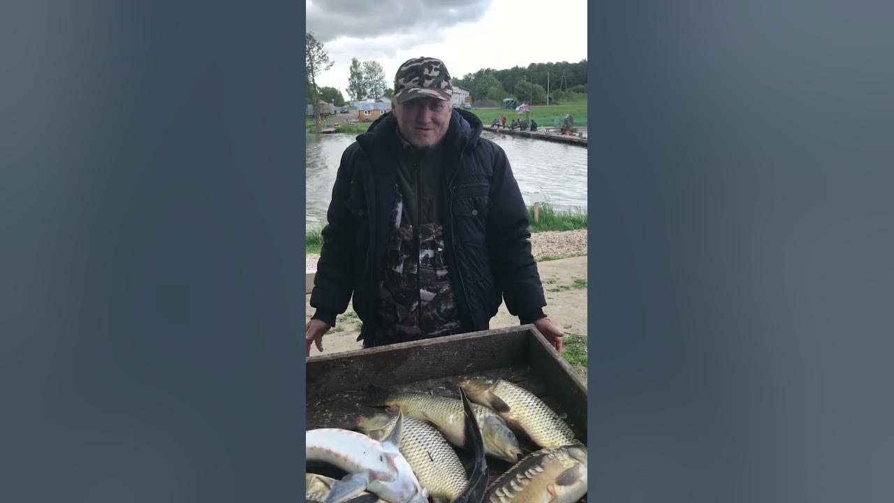 Рыбалка в щеглятьево. Тихая заводь щеглятьево русфишинг. Тихая заводь рыбалка. Ркх тихая заводь. Тихая заводь щеглятьево русфишинг.