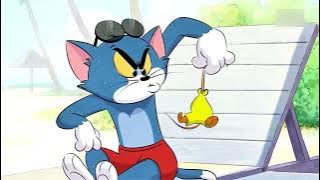 Tom& Jerry video kartun lucu 