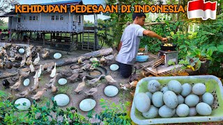 KEHIDUPAN DESA SAAT HUJAN, BERKUNJUNG KE RUMAH SAUDARA UNTUK PANEN TELUR BEBEK, MASAKAN SEDERHANA