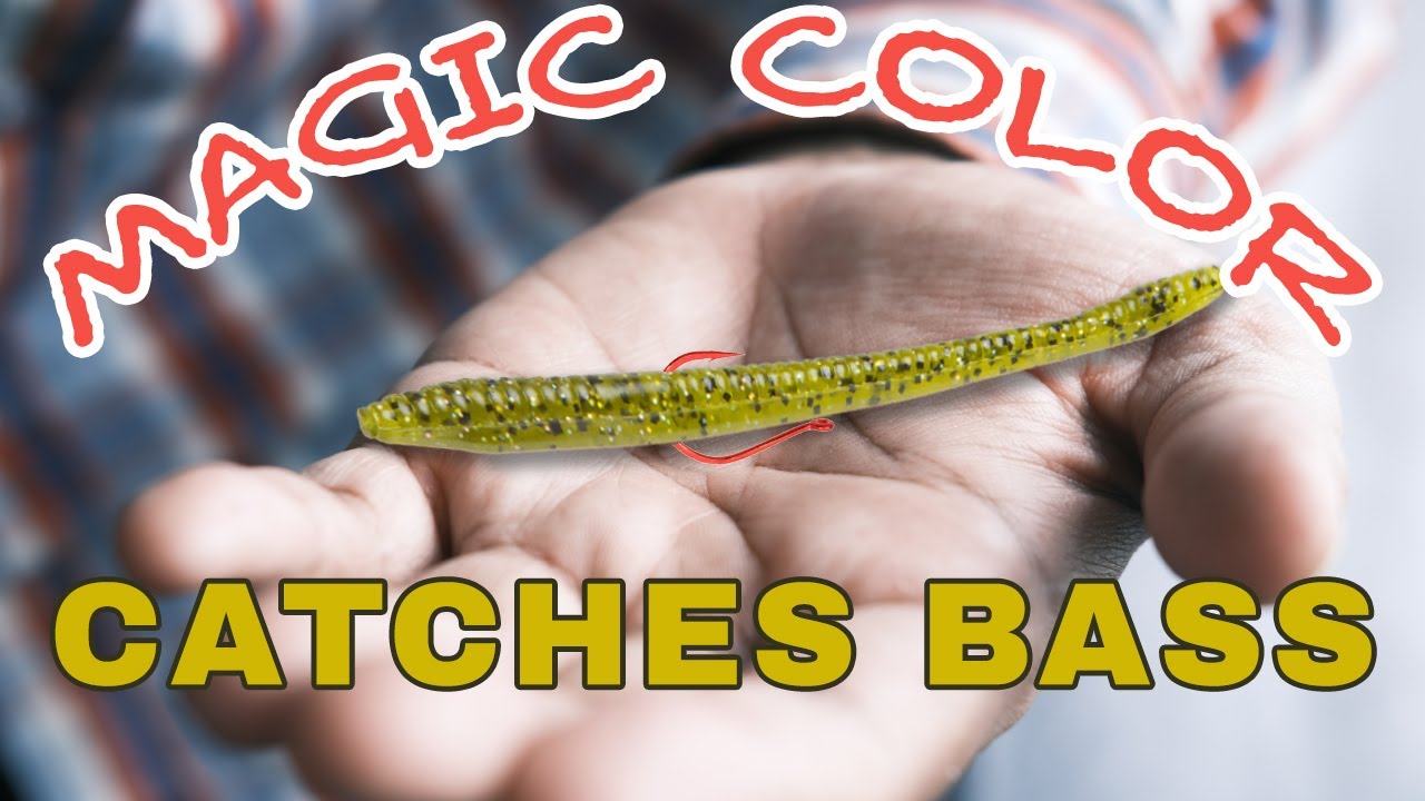 The MAGIC Bass Fishing Worm Color 