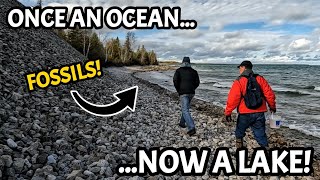 Michigan's Ancient Oceans - Discovering 360 Million-Year-Old Fossils in The Great Lakes State!