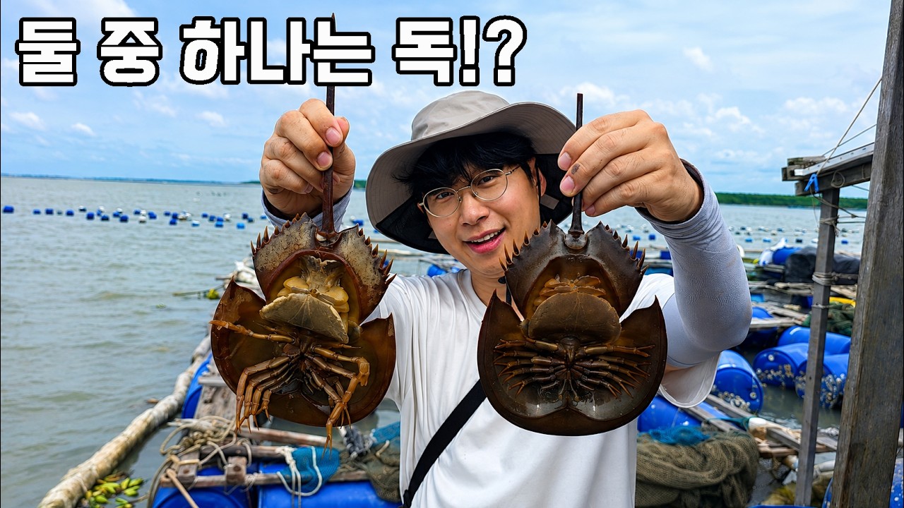 Latest Title & Thumbnail