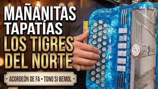 Vídeo de Mañanitas Tapatías