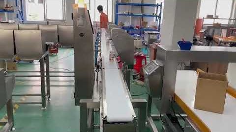 12 grades weight sorting machine ,checkweigher machine.
