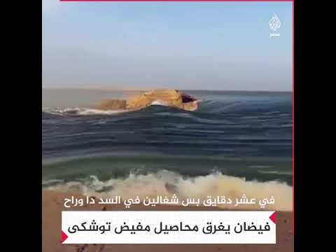 فيضان يغرق محاصيل مفيض توشكى