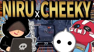 NIRUと一緒にチーターを倒すCHEEKY【CHEEKY切り抜き】