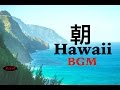 Relaxing Hawaiian Guitar Music - Background Music For Study,Relax,Work