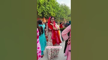 Jai baba mohan ram ki jai🙏 JBMR status baba mohan ram  Mohan baba Bhajan babamohan Bhajan kholi wale