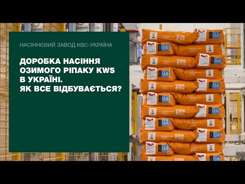 Доробка насіння озимого