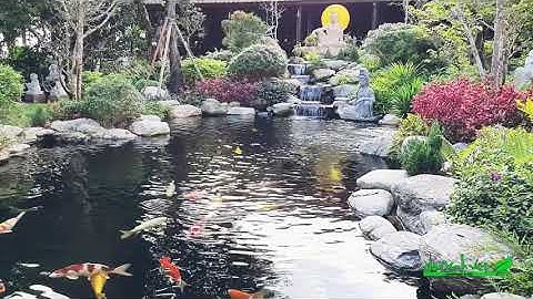 HỒ CÁ KOI & CẢNH QUAN SÂN VƯỜN | CẢNH QUAN NON XANH VIỆT