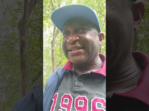 The Constitutional Council Of LRC Will Role In The Favour Of Mr PAUL Biya And The World Will Take Nt