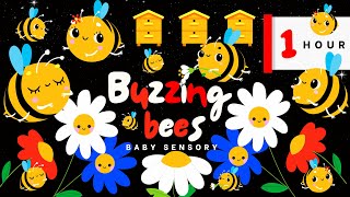 Baby Sensory Bee Buzzing Bliss In The Field: High Contrast Eye Tracking | Infant Music And Animation
