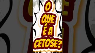O QUE É CETOSE NA DIETA CARNÍVORA