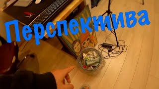 Можно ли входить в Майнинг на Перспективу? Можно ли входить в Майнинг на Перспективу?