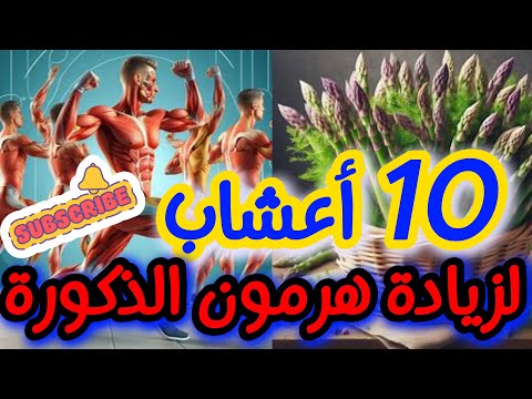 اكتشف أقوى 10 أعشاب لزيادة هرمون الذكورة بشكل طبيعي وتحسن الأداء الجنسي اسعي للتميز