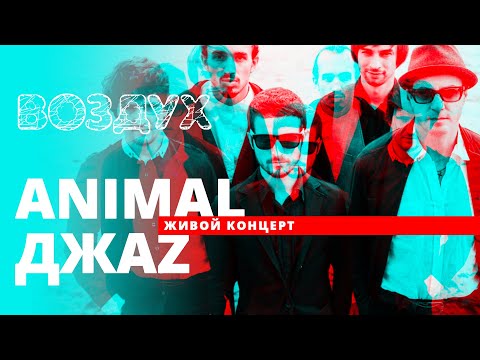 Animal ДжаZ // ВОЗДУХ // НАШЕ