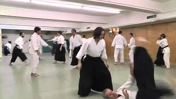Aikido Harmonizing at the beginning of each class