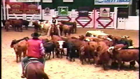 Nellie Jacobs at the 1995 NCHA World Championship ...