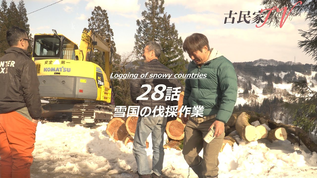「築120年、廃墟となった古民家を再生」28話、正面の杉林伐採（６～８本）景色かなり変わりました。重機を使ったいろんな倒し方の紹介も...