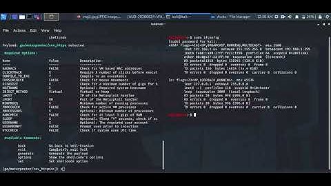 Generating Payloads using Veil Framework