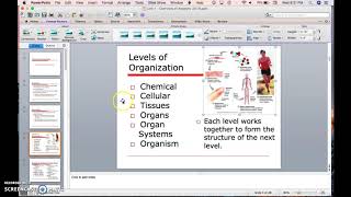 Module 6: Accessibility Eval - PPT Profile