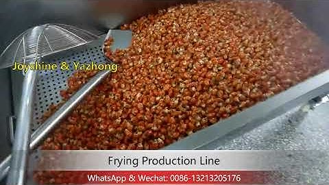 Fried Shrimp Production Line / Automatic Batch Fryer / Frying Production Line