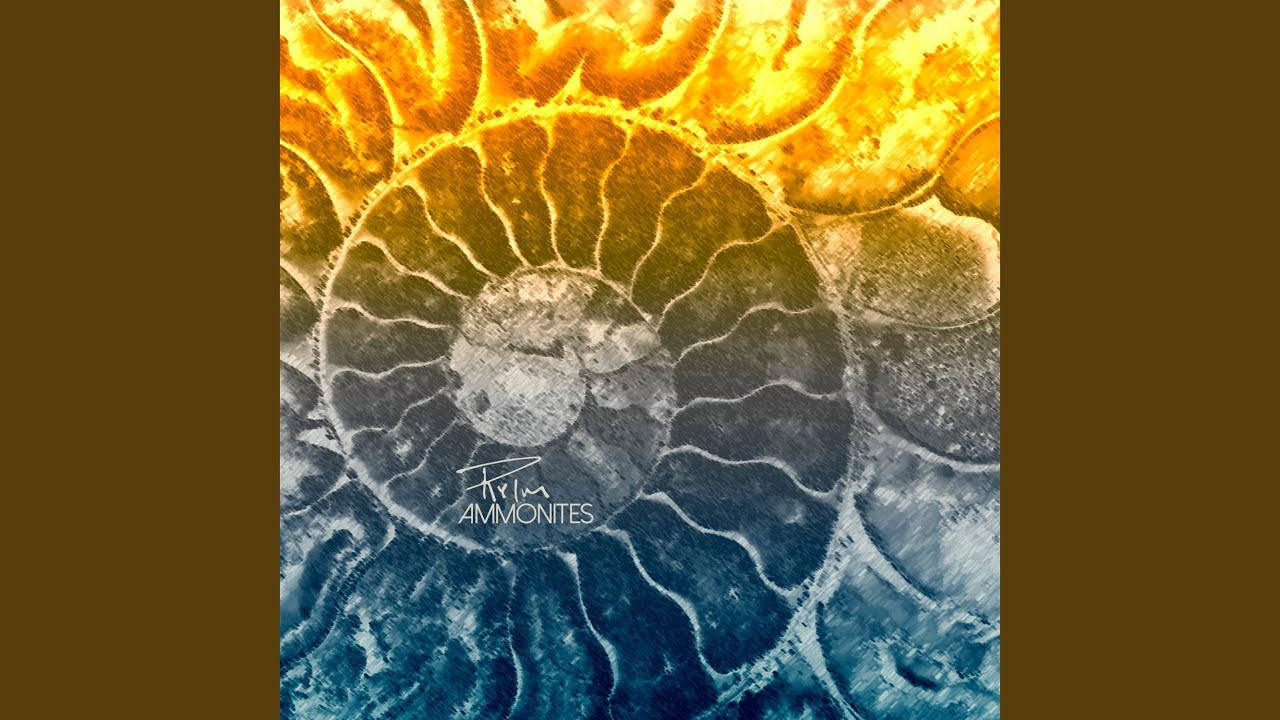 Pieces I Left In The Fire