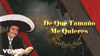 Vicente Fernández - De Qué Tamaño Me Quieres (Letra / Lyrics)