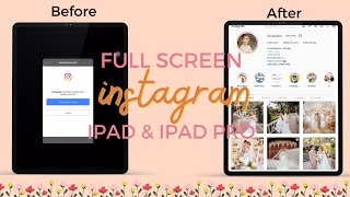 Instagram full screen on ipad pro m1 tutorial screenshot 3