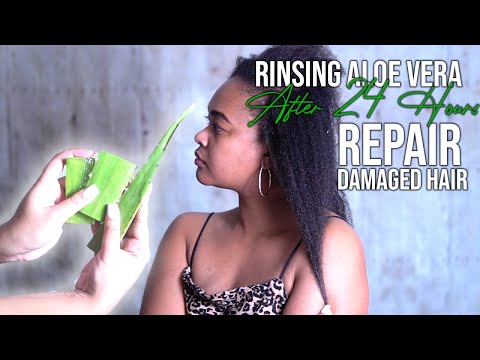 TRYING TO REPAIR AND GROW MY TYPE 4 DAMAGED HAIR WITH ALOE VERA AFTER 24 HOURS