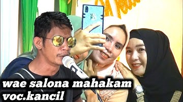 wae salona mahakam | voc.kancil ao production kab.pangkep