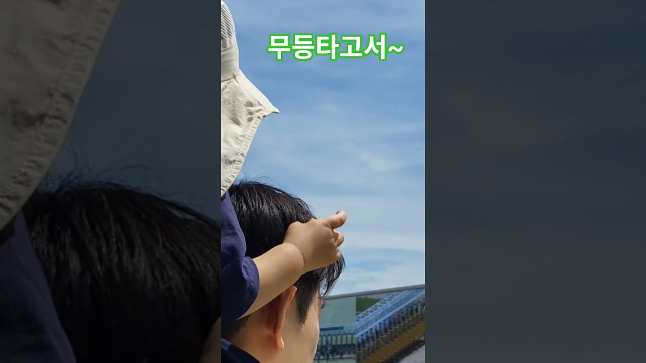 잘보이냐?#경마 #말 #달려라말 #shorts