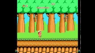 Play Adventure Island on NES Emulator screenshot 5