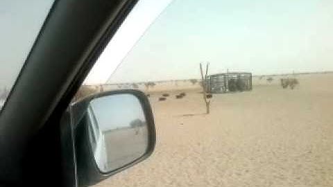دحيم الحماد 1433 تلاوة عام 1422 برنيه 2