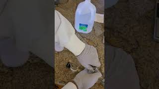 Experiment 5 Reaction C Part 1- Decomposition of Water