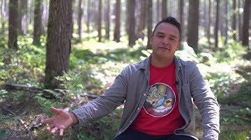 A story to entertain mp4 1080p