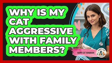 Why Is My Cat Aggressive With Family Members? - Happy Cat Handbook